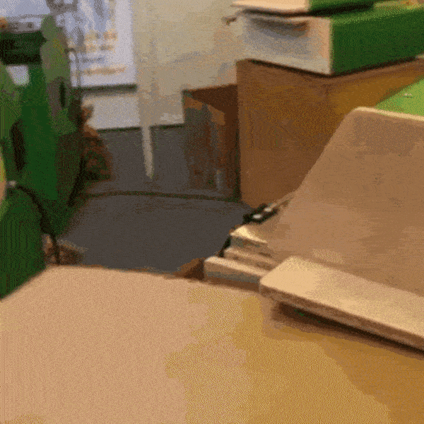 sustainability progress report - cardboard shredder