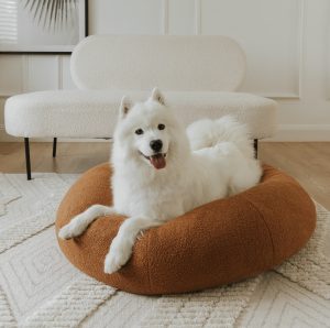 SASH Premium Teddy Bed