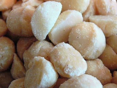 dangerous food for dogs 