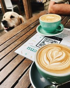 best dog friendly restaurants