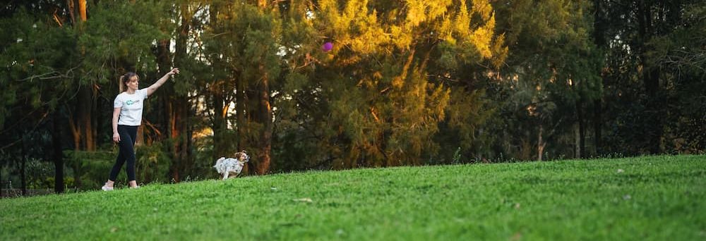 Dog Walker, Pet Sitting