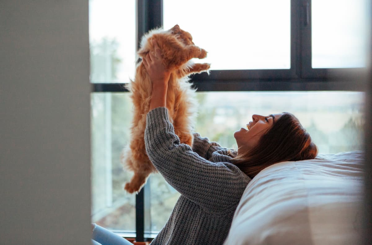 International hug your cat day