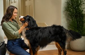 Checking your dog is an important part of flea tick and worm prevention in dogs