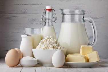 dangerous food for dogs 