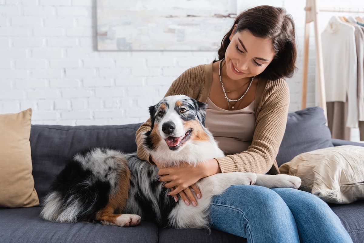 health benefits of owning a dog