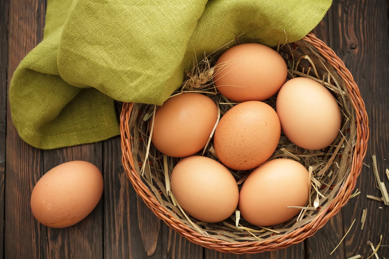 can dogs eat eggs