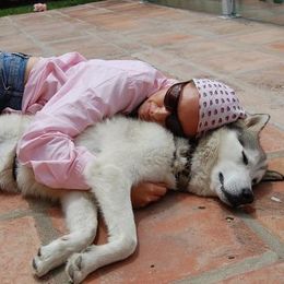 pet sitter