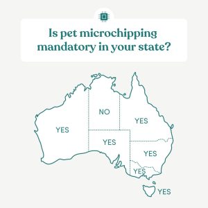 Is microchipping mandatory in your state?