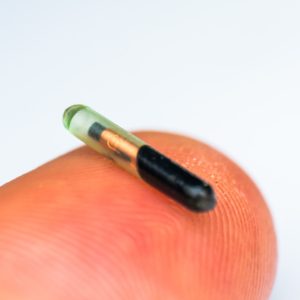 Close-up of a microchip