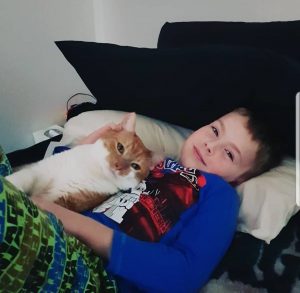Meet Ryder, WA's Most Huggable Cat Meet Ryder, WA's Most Huggable Cat