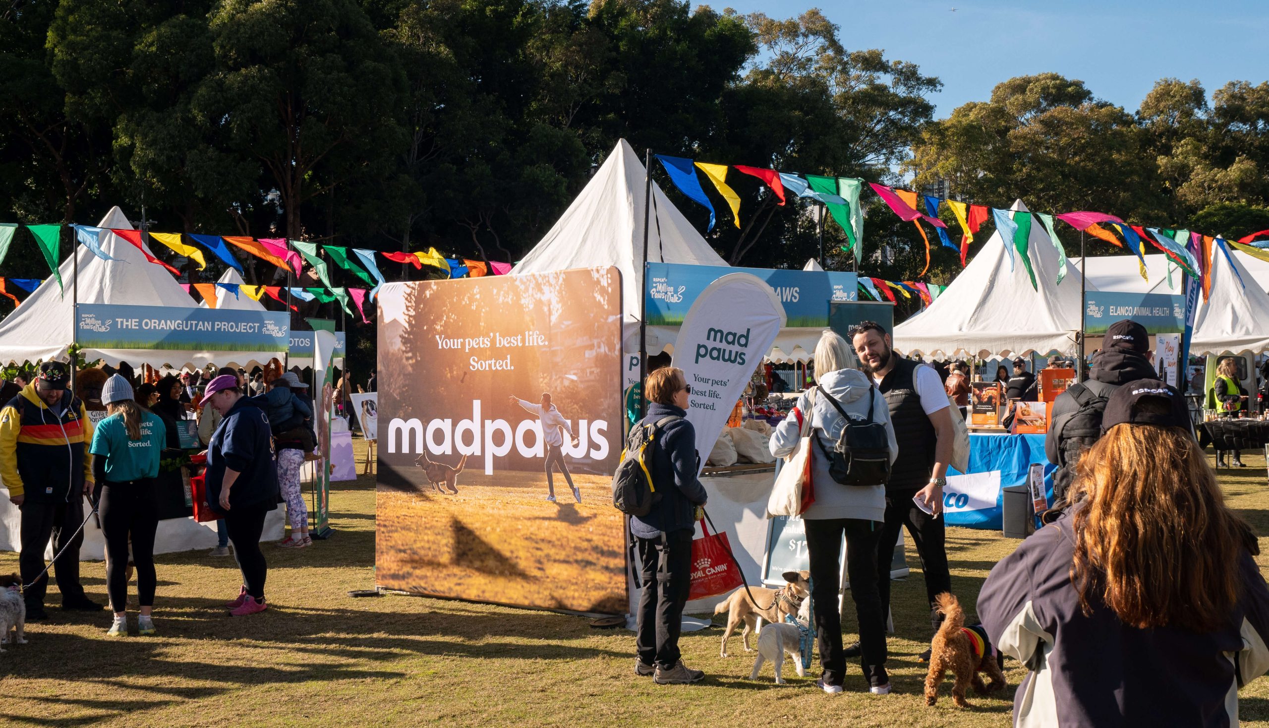 RSPCA Million Paws Walk
