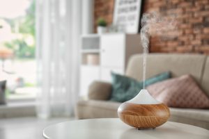 Are Diffusers Safe for Dogs?