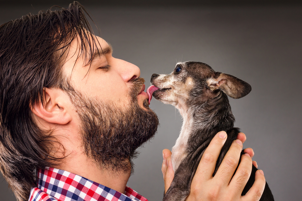 Easy Dog Trick Kiss