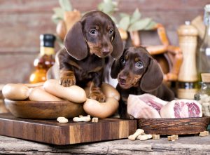 Butchers Offcuts