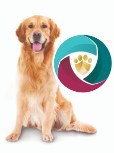 flea tick and worm treatment for dogs
