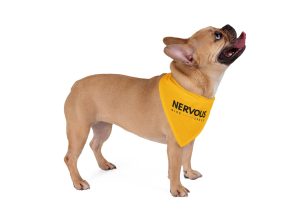 Dog training bandana