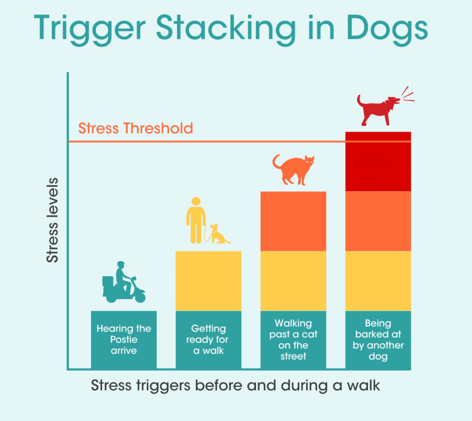 How to calm an anxious dog