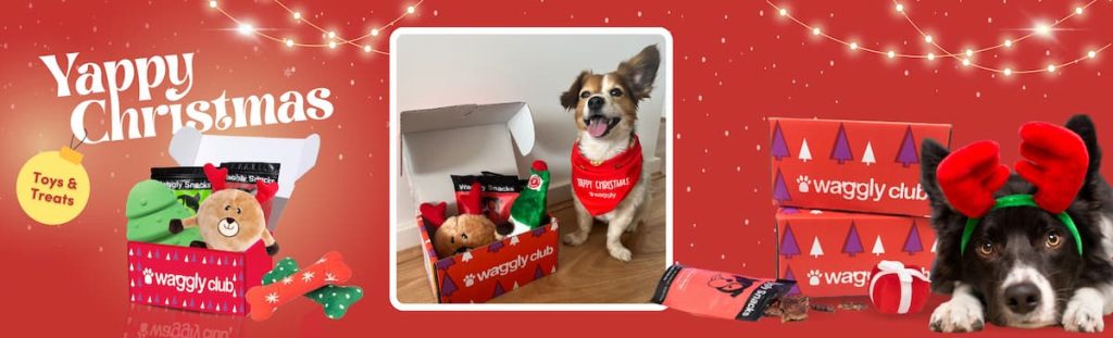 Waggly Christmas Toys Box