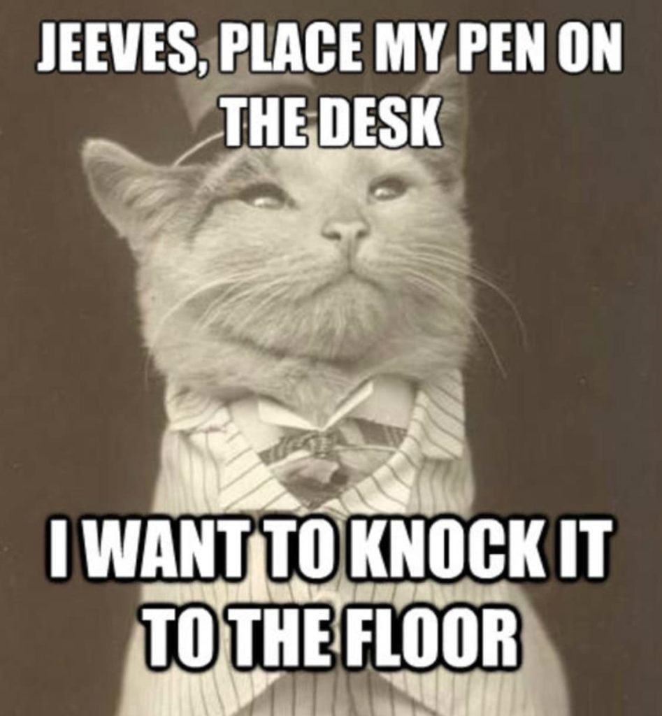 why do cats knock things off tables