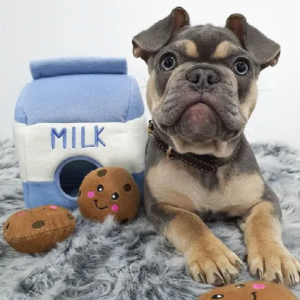 Waggly New Toys