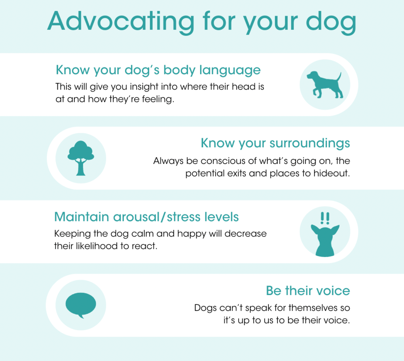 advocating for your dog
