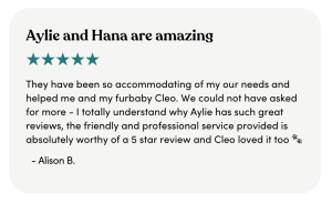 Aylie P Pet Sitter review