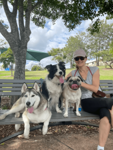 pet sitting gold coast