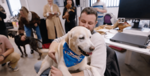 Benefits of dogs in the workplace