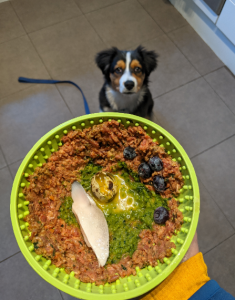 Furriest Foodie Finalist Mack