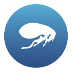 Fleas
