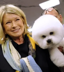 bichon-frise-celebrity-Martha-Stewart.