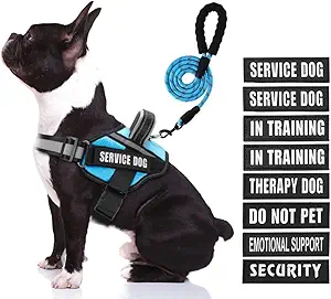 Dog training harness