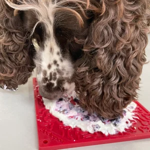 SodaPup licking mat