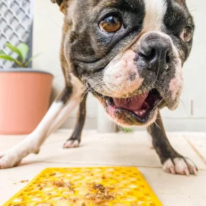 Licking mat for dogs enrichment toys